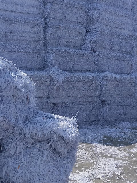 Asre Kağıt Geri Dönüşüm Toplama İstasyonu