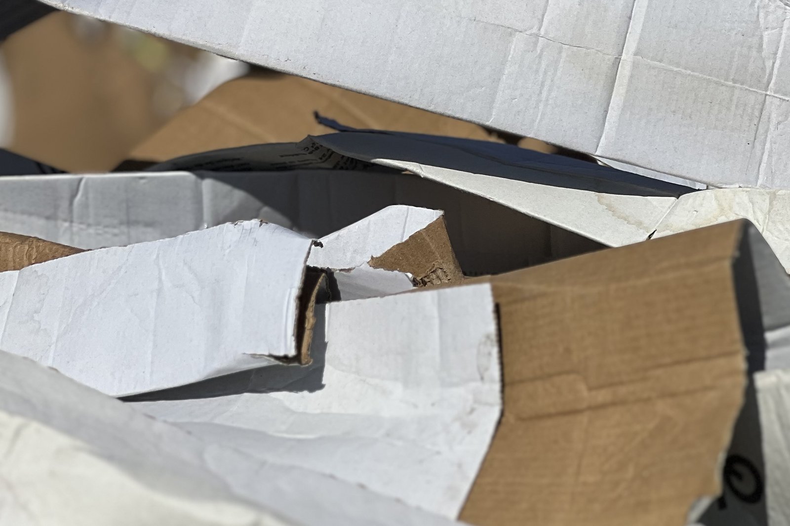 Asre Kağıt Geri Dönüşüm Toplama İstasyonu