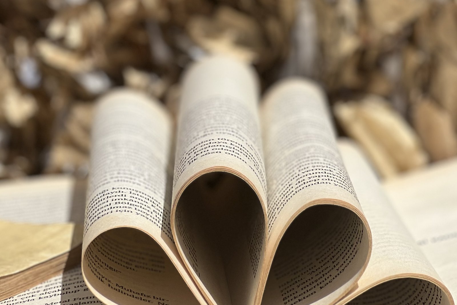 Asre Kağıt Geri Dönüşüm Toplama İstasyonu