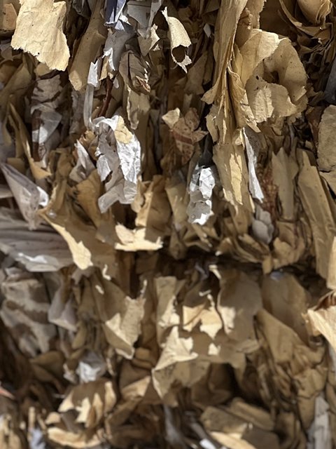 Asre Kağıt Geri Dönüşüm Toplama İstasyonu